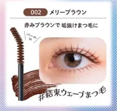 ブレンドベリー カール&キープ マスカラ おまけ付 elegance Diorのサムネイル