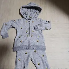 ヒスミニセットアップ