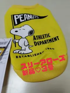 Item thumbnail for item b7ee81c6-04c6-456d-a5cd-f2c35263d7a9