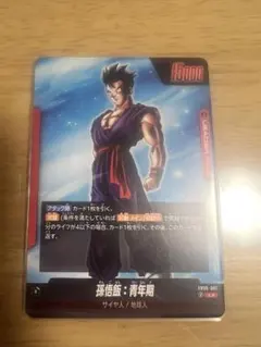 フュージョンワールド　孫悟飯青年期　L⭐︎ FB08-001 その他