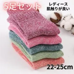 【５足セット】 靴下 ソックス 暖かい レディース 防寒靴下 極暖 冬　1082