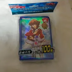 十代 スリーブ 未開封のサムネイル