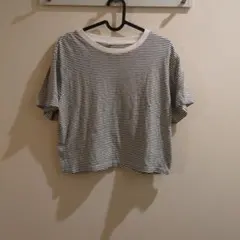UNIQLO　ストライプ クロップドTシャツ Мサイズ