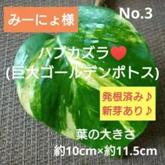 みーにょ様 リクエスト 2点 まとめ商品