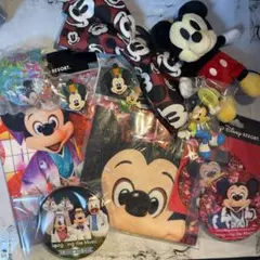 ディズニーランド ミッキー 13点セット