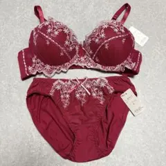 レディース　下着セット　ブラジャーショーツ