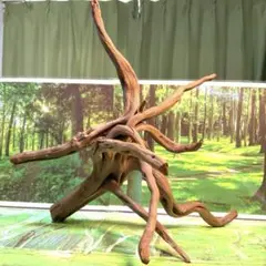 2026年最新】ブランチウッドの人気アイテム - メルカリ