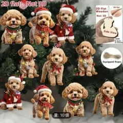 Item thumbnail for item 56ac64e6-b454-49d0-94ca-ba8e293b5900