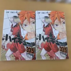 ハイキュー!!　33.5巻　音駒番外編
