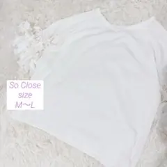 【DInos So Close 】フリンジ付き半袖ニット/ニットソー/ホワイトのサムネイル