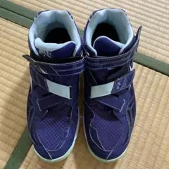 Item thumbnail for item 5e53bff2-6818-4aca-b762-d36757c8cb9c