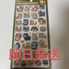 【正規品】ボンボンドロップ　柴犬