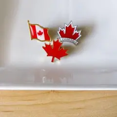 Item thumbnail for item ff02c13f-7973-4d14-bbc8-0cdfc3bba586