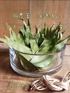 ウェルチマスカット様 リクエスト 2点 まとめ商品