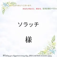 ソラッチ　様専用