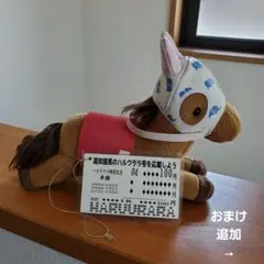 ハルウララ　ぬいぐるみ