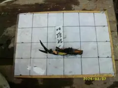 がんちゃん様 リクエスト 2点 まとめ商品