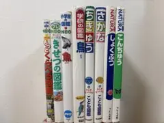 小学館・学研ほか 図鑑8冊まとめ売り NEO／NATURA／こども図鑑セット