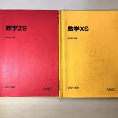 2025年最新】駿台 xs zsの人気アイテム - メルカリ
