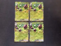オリーヴァex rr 4枚のサムネイル