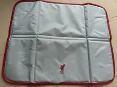 Item thumbnail for item acd14a3b-cabf-451b-8ad7-ec3e88b61514