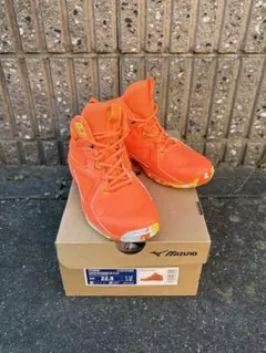 MIZUNO WAVE DIVERSE LG 4 Ltd 22.5cm