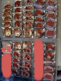 すとぷり 莉犬 君 くん 言ノ葉ワンダーランド 缶バッジ グッズ