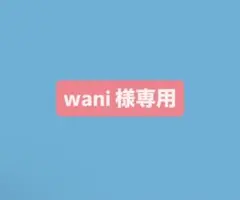 【wani様専用】ツルヤ りんごかりんとう 2袋 ひとくち白加賀梅1袋