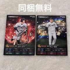 【6月末までの出品】近本光司 村上頌樹 ノーマルカード プロ野球チップス