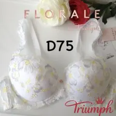 Item thumbnail for item 44eaaef1-0928-44bf-87a1-c6ec930c982b