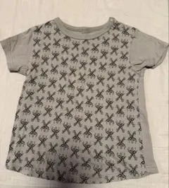 Item thumbnail for item 2e1f7f04-82d1-4e61-8f40-e6cd9bf77e7b