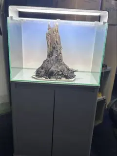 岐阜 レグラス 60×45×45 ガラス水槽 専用キャビネットセット - メルカリ