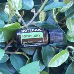 2026年最新】doterra ローズの人気アイテム - メルカリ