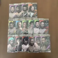 RIZINウエハースカードまとめ売り