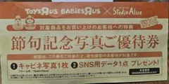 スタジオアリス　優待券のサムネイル