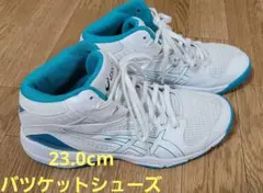 アシックス　ASICS　バスケットボールシューズ　ダンクショット　23.0cm