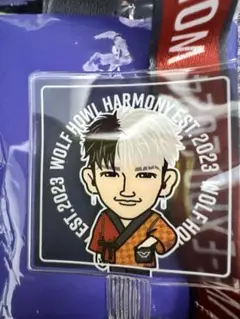 2026年最新】wolf howl harmonyの人気アイテム - メルカリ