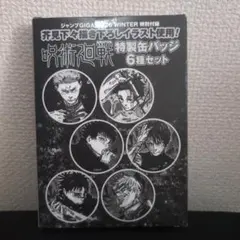 呪術廻戦 ジャンプGIGA 特製缶バッジ 6種セット