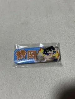 全集中展 ご当地イラスト静岡ランダム缶バッジ