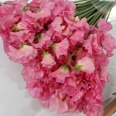 ネコいちご様 リクエスト 2点 まとめ商品