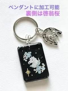 Item thumbnail for item 209c479c-6da2-40d0-97d3-c5bfe1d2870f