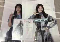 Item thumbnail for item 62dedc0f-ed24-4c14-b5c3-b4d2458b4d0b