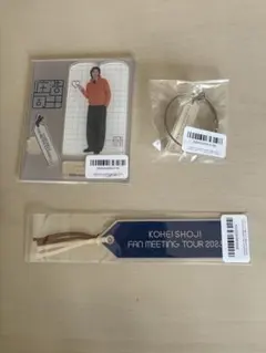 Item thumbnail for item 57d63b72-e6fa-4439-beba-ecbc05965b29