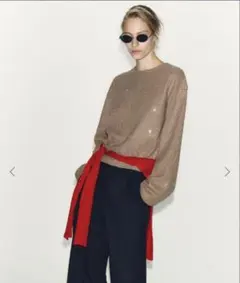 Y378：ZARA ビジュー付き ニット ベージュ