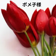 【ポメ子様】BTS メモ帳 おまとめ