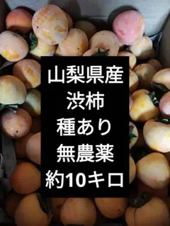 2025年最新】渋柿 干し柿 山梨の人気アイテム - メルカリ