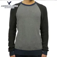 AMERICAN EAGLE OUTFITTERS ニットセーター S/P
