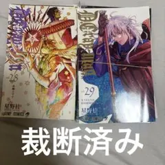 D.Gray-man 29 28 裁断済み