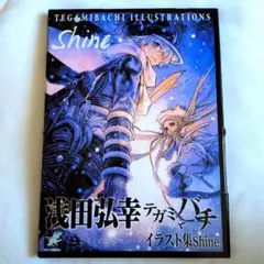 テガミバチイラスト集shine