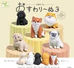A-41　コンプ　お座り × 犬 おすわりーぬ 3　全5種 セット カプセルトイ